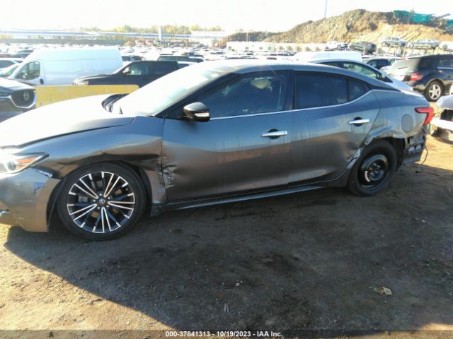 1N4AA6AP0JC406169 Nissan MAXIMA SL
