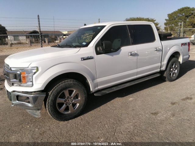 1FTEW1E51KKD15959 Ford F-150 Xl/xlt/lariat