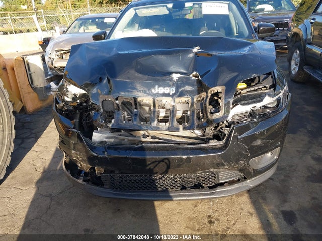 2019 JEEP CHEROKEE LATITUDE FWD VIN: 1C4PJLCX7KD264043