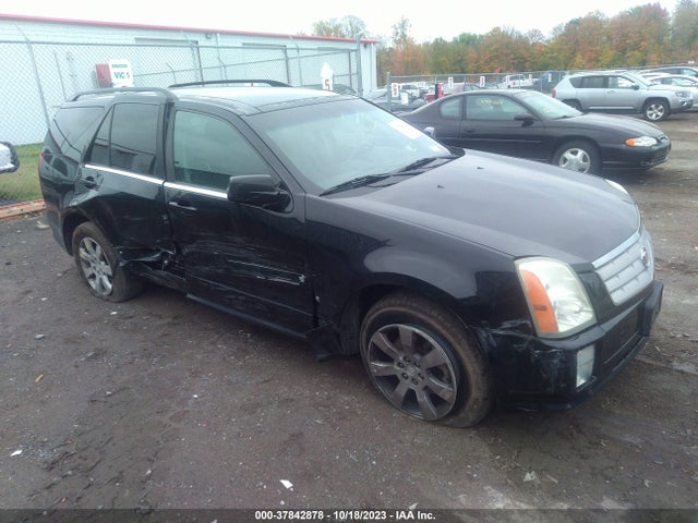 2006 CADILLAC SRX 1GYEE637460137190 Photo 0