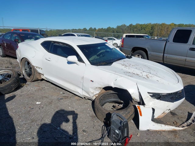 2019 1G1FB1RS8K0106609 main image