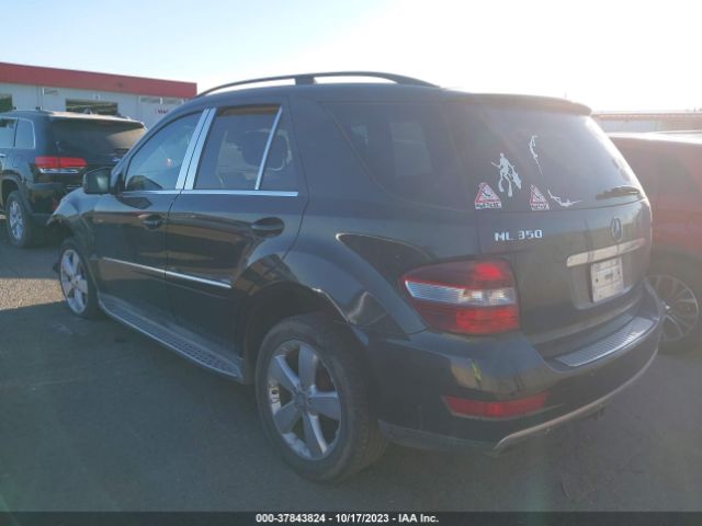 2011 MERCEDES-BENZ M-CLASS 4JGBB5GB5BA701228 Photo 2