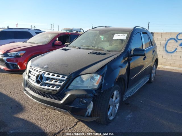 2011 MERCEDES-BENZ M-CLASS 4JGBB5GB5BA701228 Photo 5