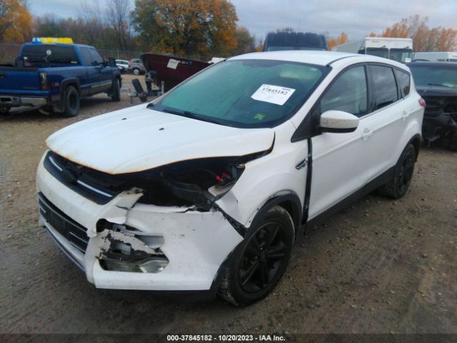 1FMCU9GX1FUB13798 Ford ESCAPE SE
