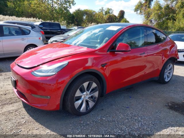 5YJYGDEE0MF265793 Tesla Model Y Long Range