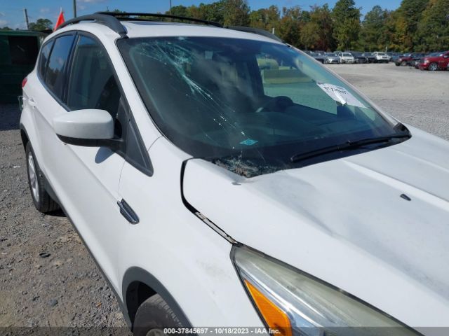 1FMCU9GX1GUA25223 Ford ESCAPE SE