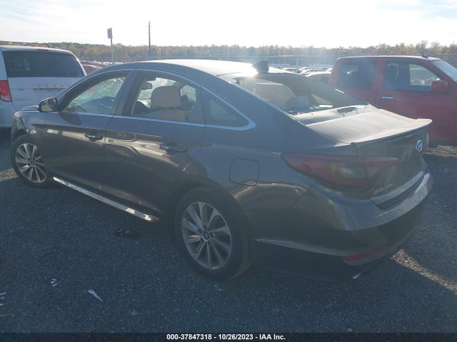 2016 HYUNDAI SONATA SPORT VIN: 5NPE34AF5GH373815