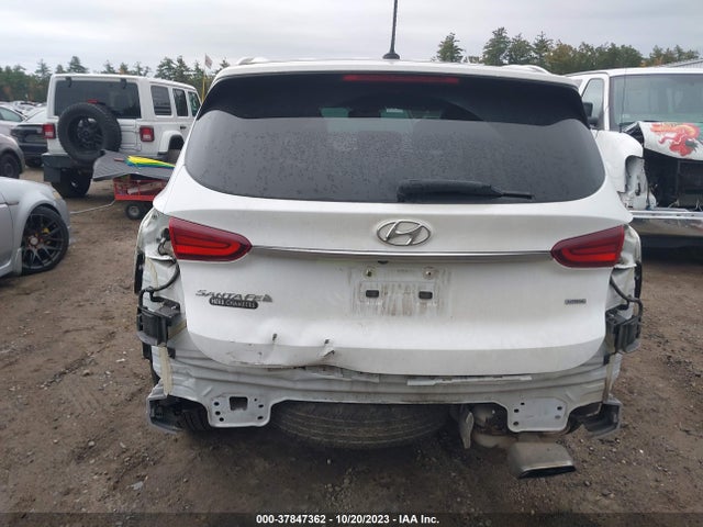 2019 HYUNDAI SANTA FE SE VIN: 5NMS2CAD4KH093274