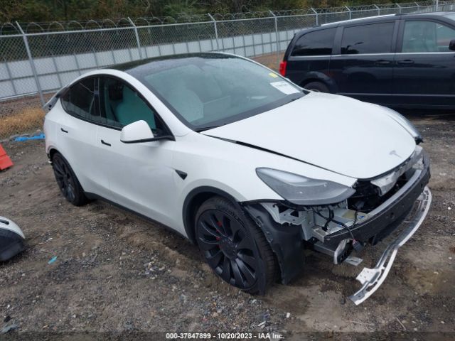 2023 TESLA MODEL Y 7SAYGDEF0PF705298