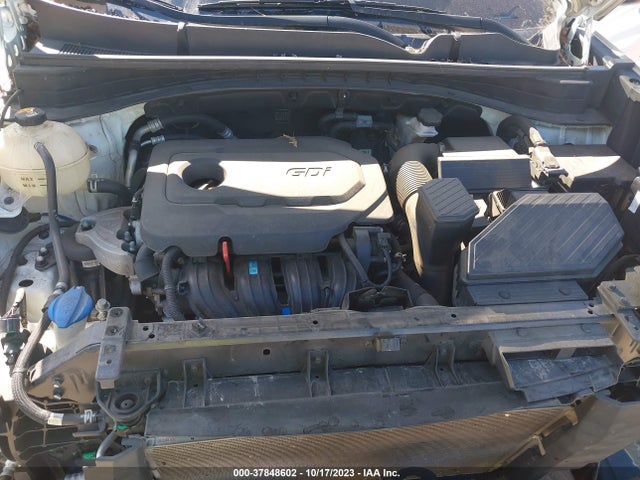 2019 KIA SPORTAGE LX VIN: KNDPM3AC0K7628079