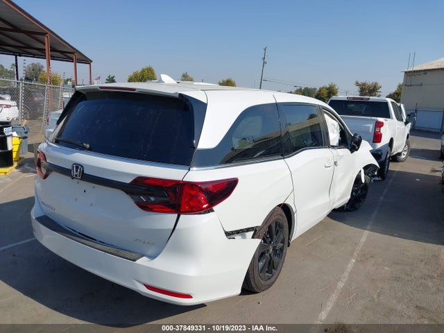 2023 HONDA ODYSSEY SPORT VIN: 5FNRL6H74PB036109