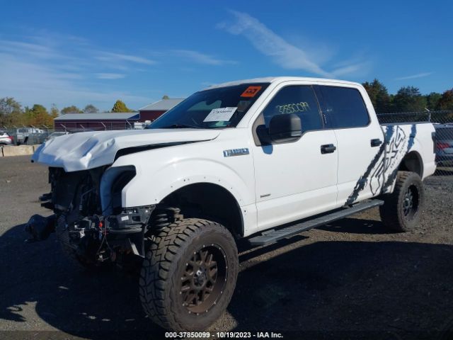 1FTEW1EP4FFC55952 Ford F-150 Xlt/xl/lariat