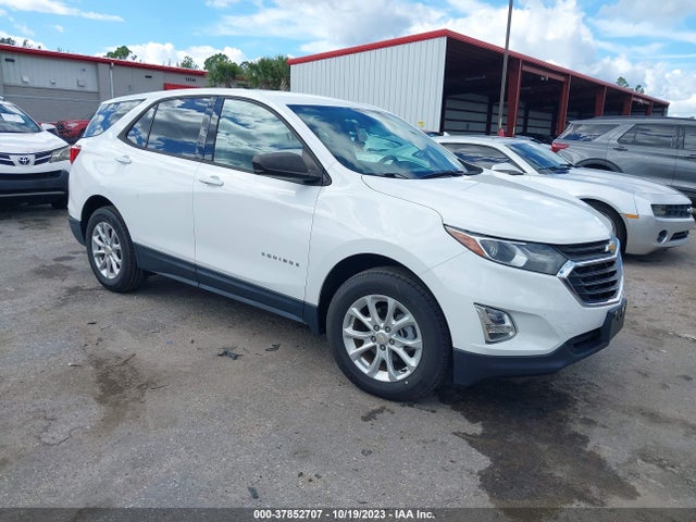 Chevrolet EQUINOX LS 2019 2GNAXHEV3K6302970 Image 1