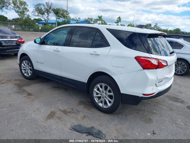 Chevrolet EQUINOX LS 2019 2GNAXHEV3K6302970 Image 3