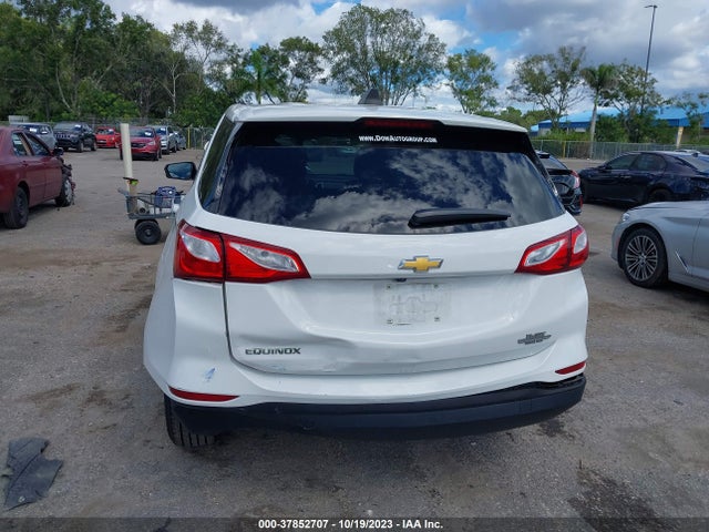 Chevrolet EQUINOX LS 2019 2GNAXHEV3K6302970 Image 6