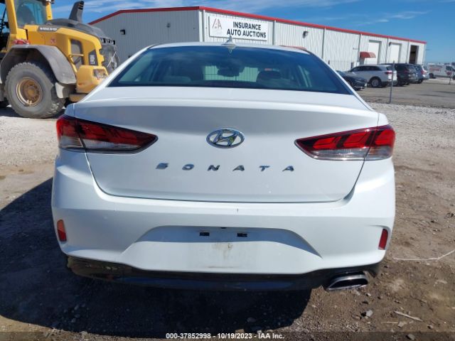 5NPE34AF7KH738987 Hyundai SONATA SEL