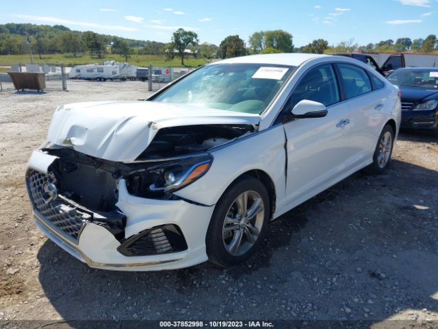 5NPE34AF7KH738987 Hyundai SONATA SEL