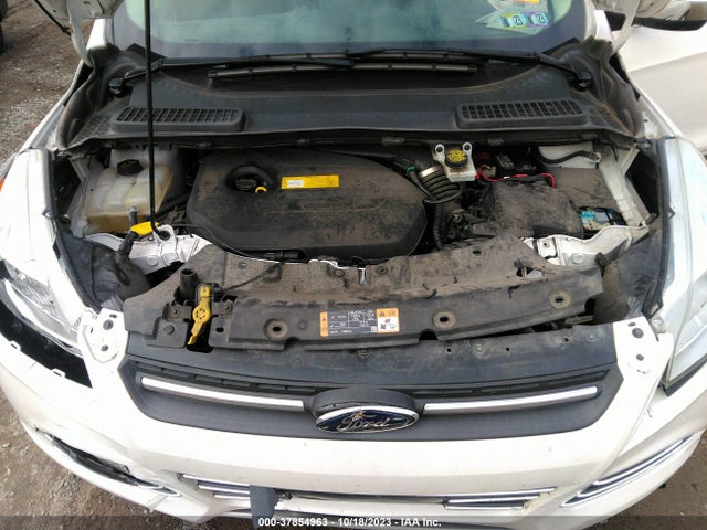 Ford ESCAPE SE 2016 1FMCU9GX1GUB92942 Image 10