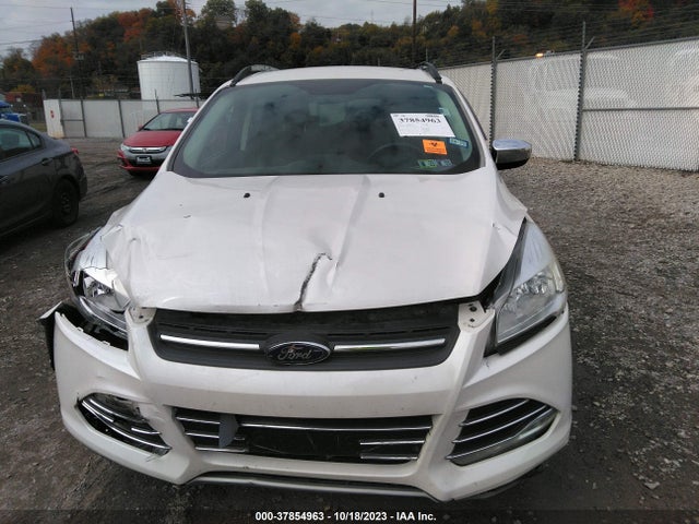 Ford ESCAPE SE 2016 1FMCU9GX1GUB92942 Image 12