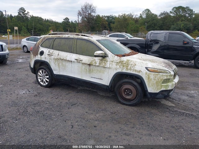 2014 JEEP CHEROKEE 1C4PJLDS6EW181408 Photo 0