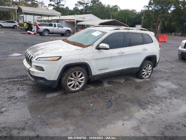 2014 JEEP CHEROKEE 1C4PJLDS6EW181408 Photo 1
