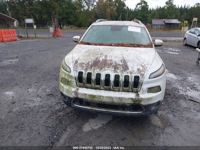 2014 JEEP CHEROKEE 1C4PJLDS6EW181408 Photo 5