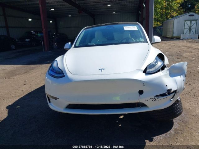 5YJYGDEE7MF085582 Tesla Model Y Long Range