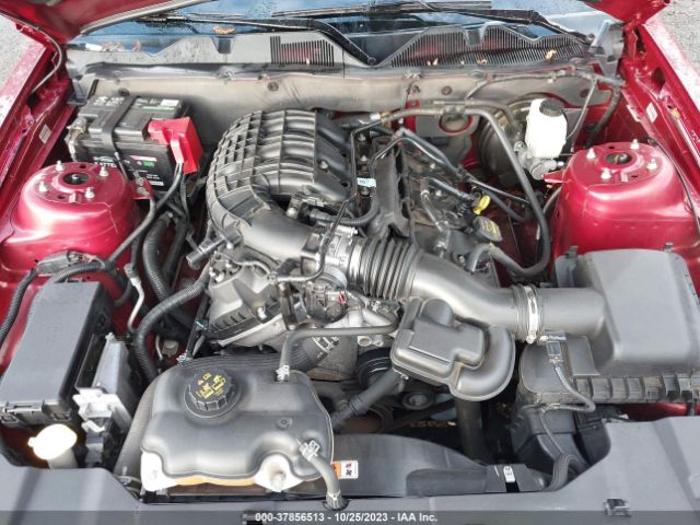 1ZVBP8AM5E5250569 Ford Mustang V6