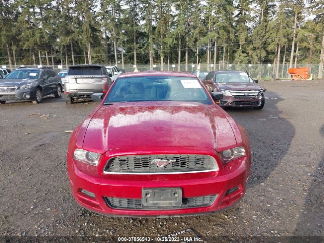 1ZVBP8AM5E5250569 Ford Mustang V6