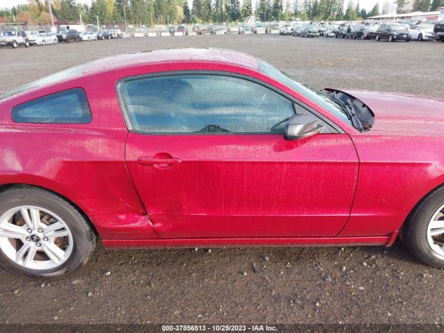 1ZVBP8AM5E5250569 Ford Mustang V6