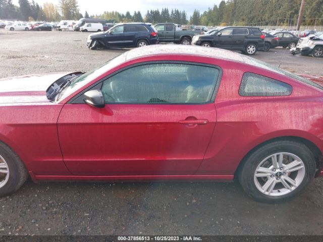 1ZVBP8AM5E5250569 Ford Mustang V6