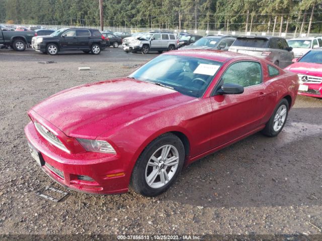 1ZVBP8AM5E5250569 Ford Mustang V6