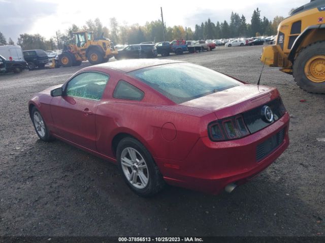 1ZVBP8AM5E5250569 Ford Mustang V6