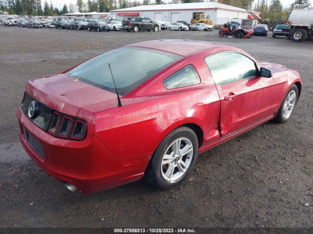 1ZVBP8AM5E5250569 Ford Mustang V6
