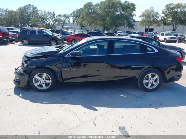 Chevrolet Malibu 1fl 2019 1G1ZC5ST7KF218187 Image 13