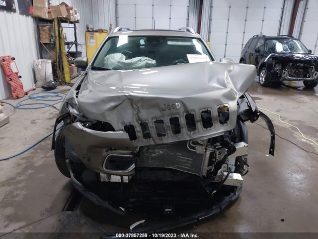 2021 JEEP CHEROKEE LIMITED VIN: 1C4PJMDX6MD179086