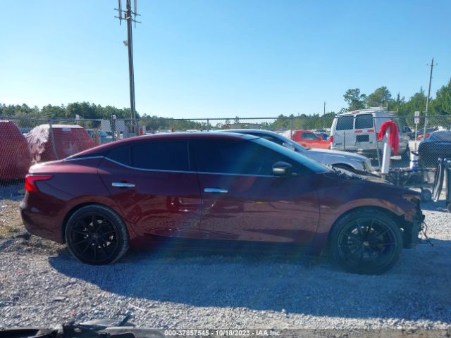 1N4AA6AP1HC428174 Nissan MAXIMA SL