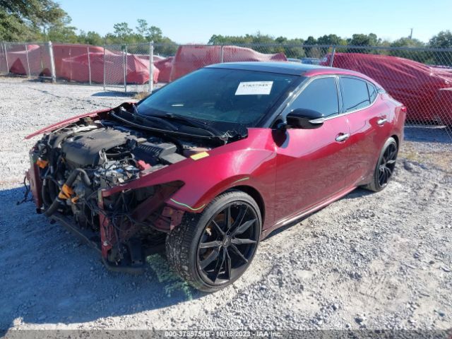 1N4AA6AP1HC428174 Nissan MAXIMA SL