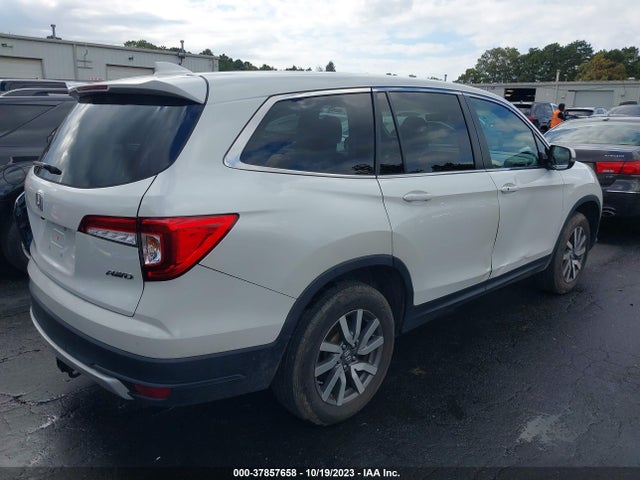 Honda Pilot Awd Ex-l 2020 5FNYF6H52LB034242 Image 4