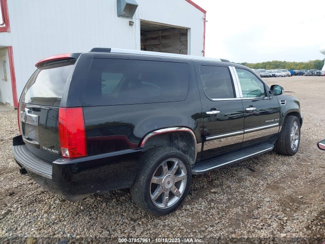 2009 CADILLAC ESCALADE ESV STANDARD VIN: 1GYFK26259R195783