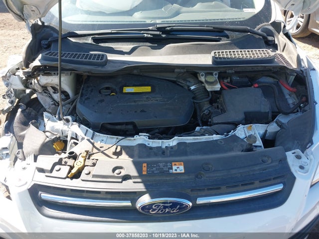 Ford ESCAPE SE 2016 1FMCU0GX3GUB63468 Image 10