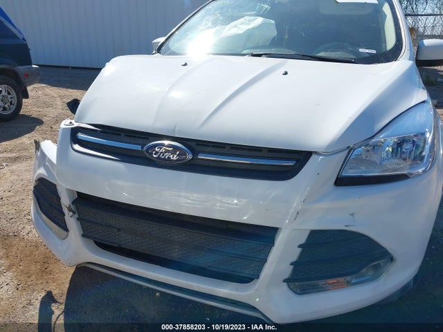 Ford ESCAPE SE 2016 1FMCU0GX3GUB63468 Image 12
