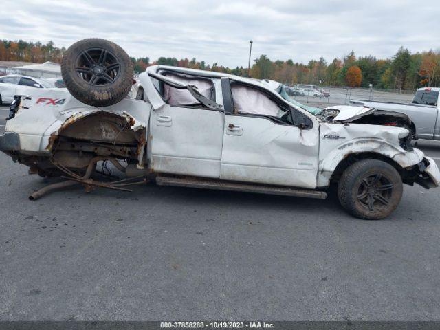 1FTFW1ET5EFC58701 Ford F-150 Xl/xlt/fx4/lariat