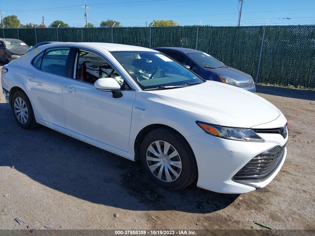 2019 4T1B31HKXKU004995 main image