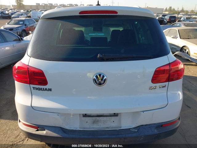 2013 VOLKSWAGEN TIGUAN SE VIN: WVGAV3AX1DW569201