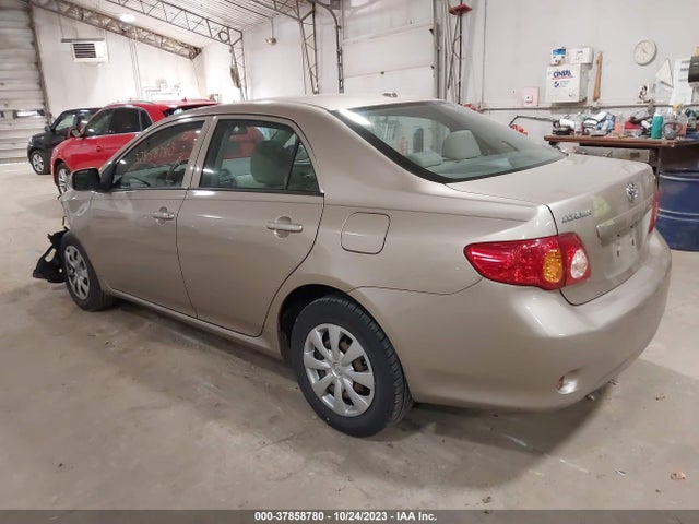 2010 TOYOTA COROLLA VIN: 2T1BU4EE9AC535831