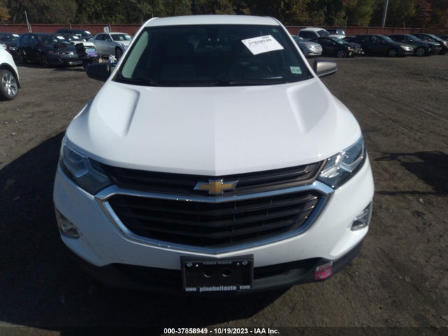 Chevrolet EQUINOX LS 2019 2GNAXHEV7K6140695 Image 12