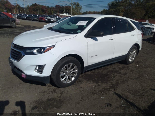 Chevrolet EQUINOX LS 2019 2GNAXHEV7K6140695 Image 2