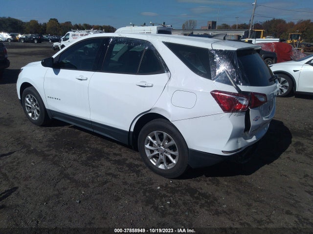 Chevrolet EQUINOX LS 2019 2GNAXHEV7K6140695 Image 3