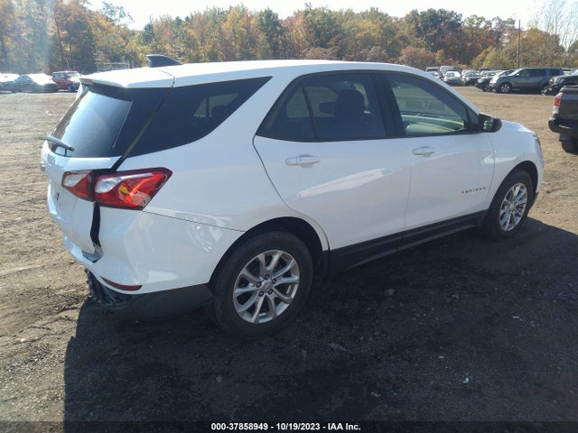 Chevrolet EQUINOX LS 2019 2GNAXHEV7K6140695 Image 4